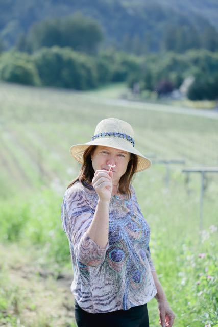 PrudyFox_vineyard
